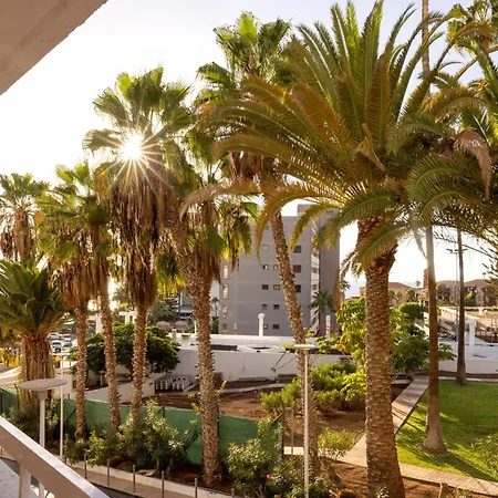 Ponderosa With Pool & View, 124 Apartment
